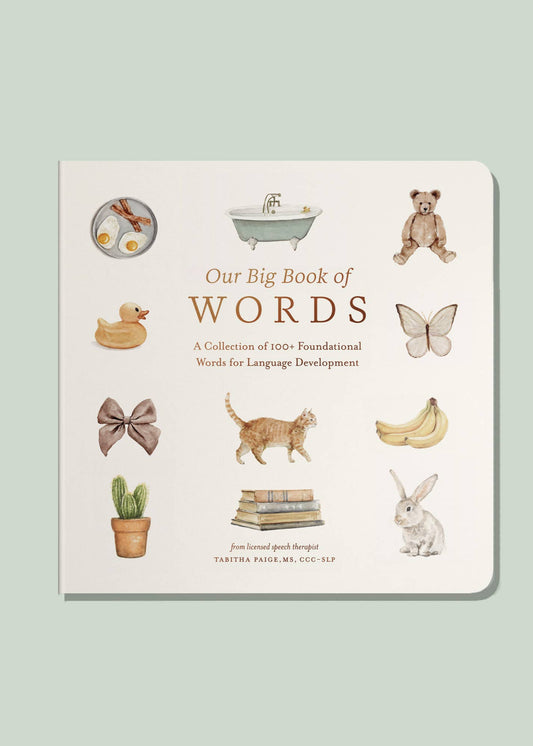 Our Big Book of First Words