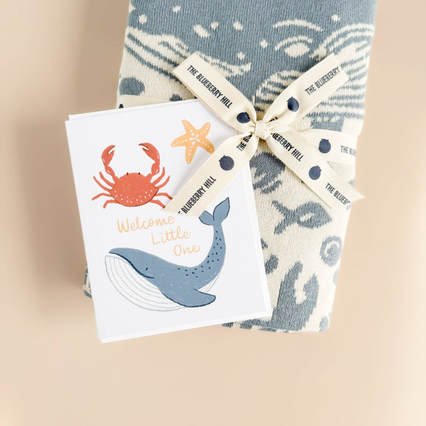 Greeting Card Welcome Little One Nautical
