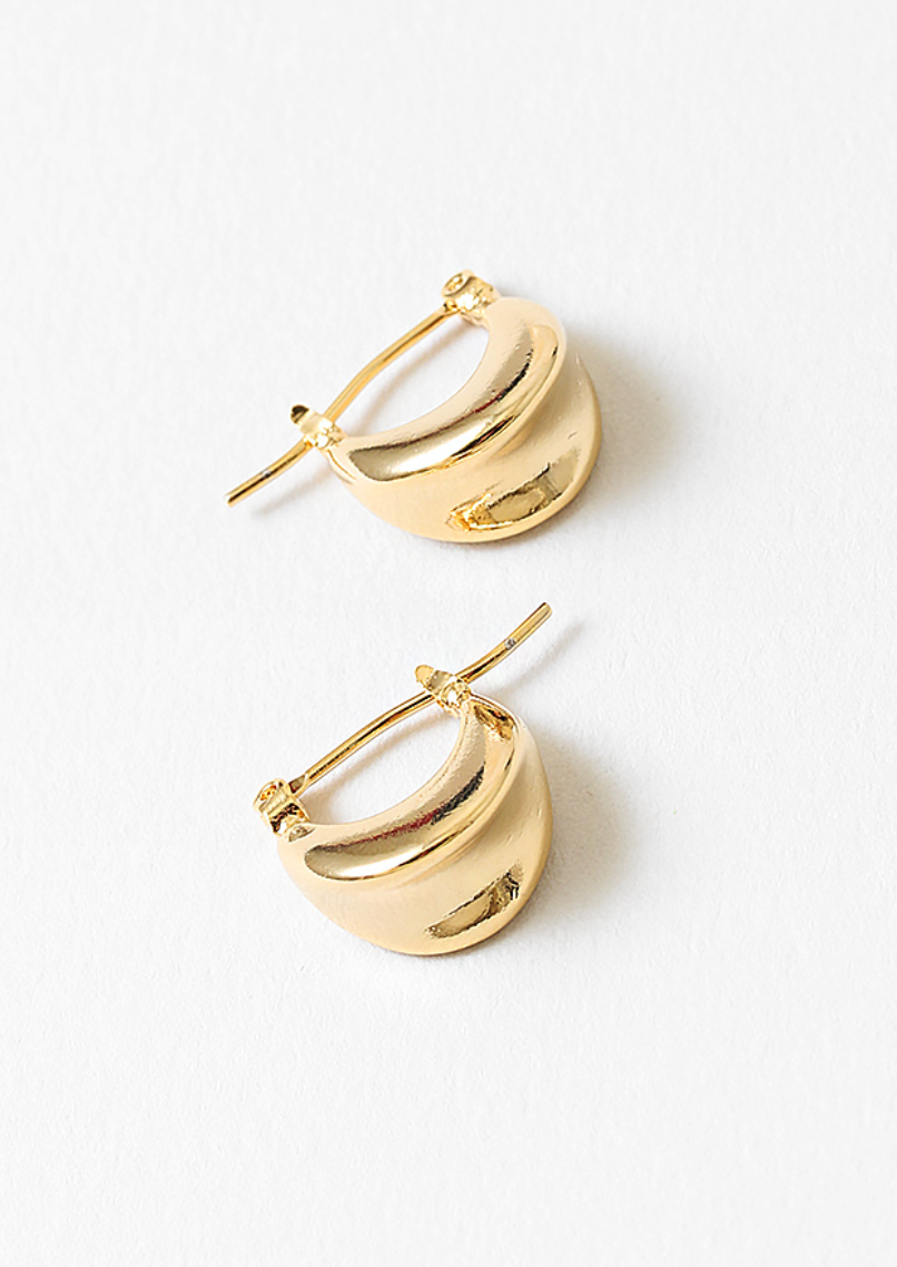 Repeat Offender Earrings