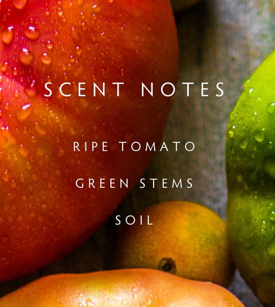Heirloom Tomato Linnea Candle