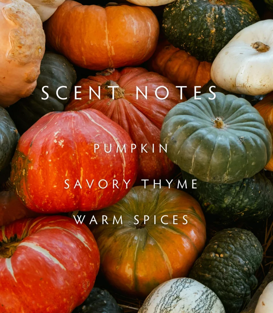 Harvest Pumpkin Candle