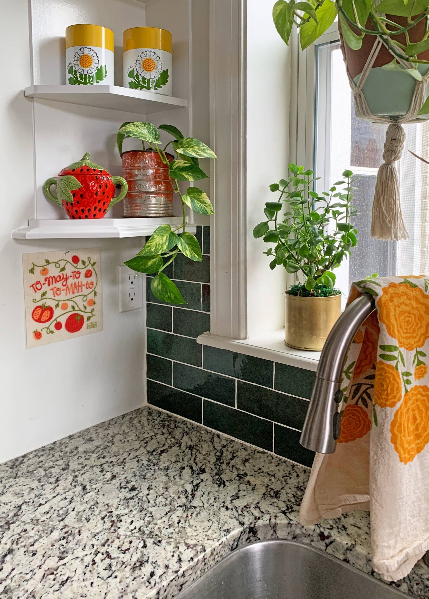Tomato Sponge Cloth