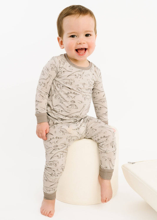 Dino Doodles Bamboo Set
