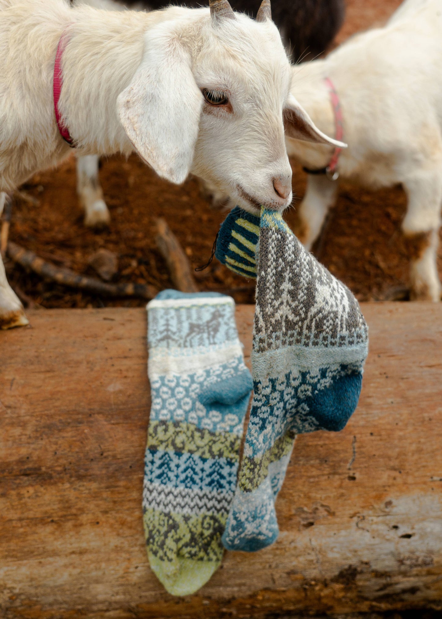 Goat Crew Socks | Socks That Give Back to National Parks