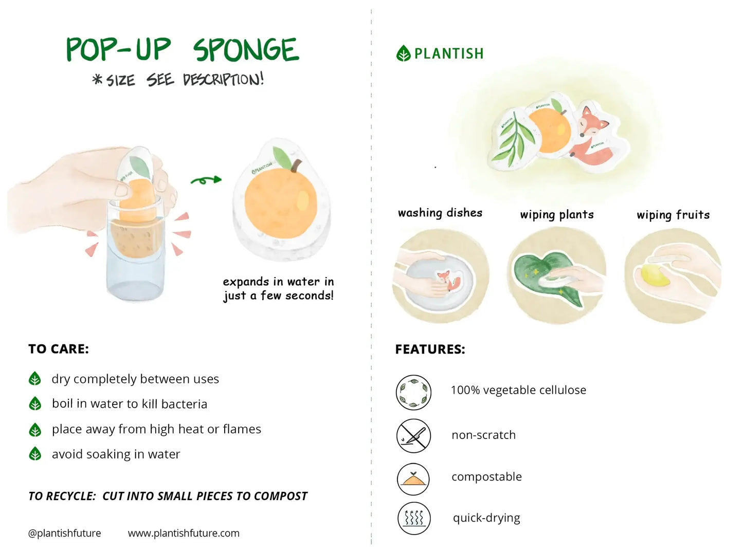 Holiday Botanical Pop up Sponge