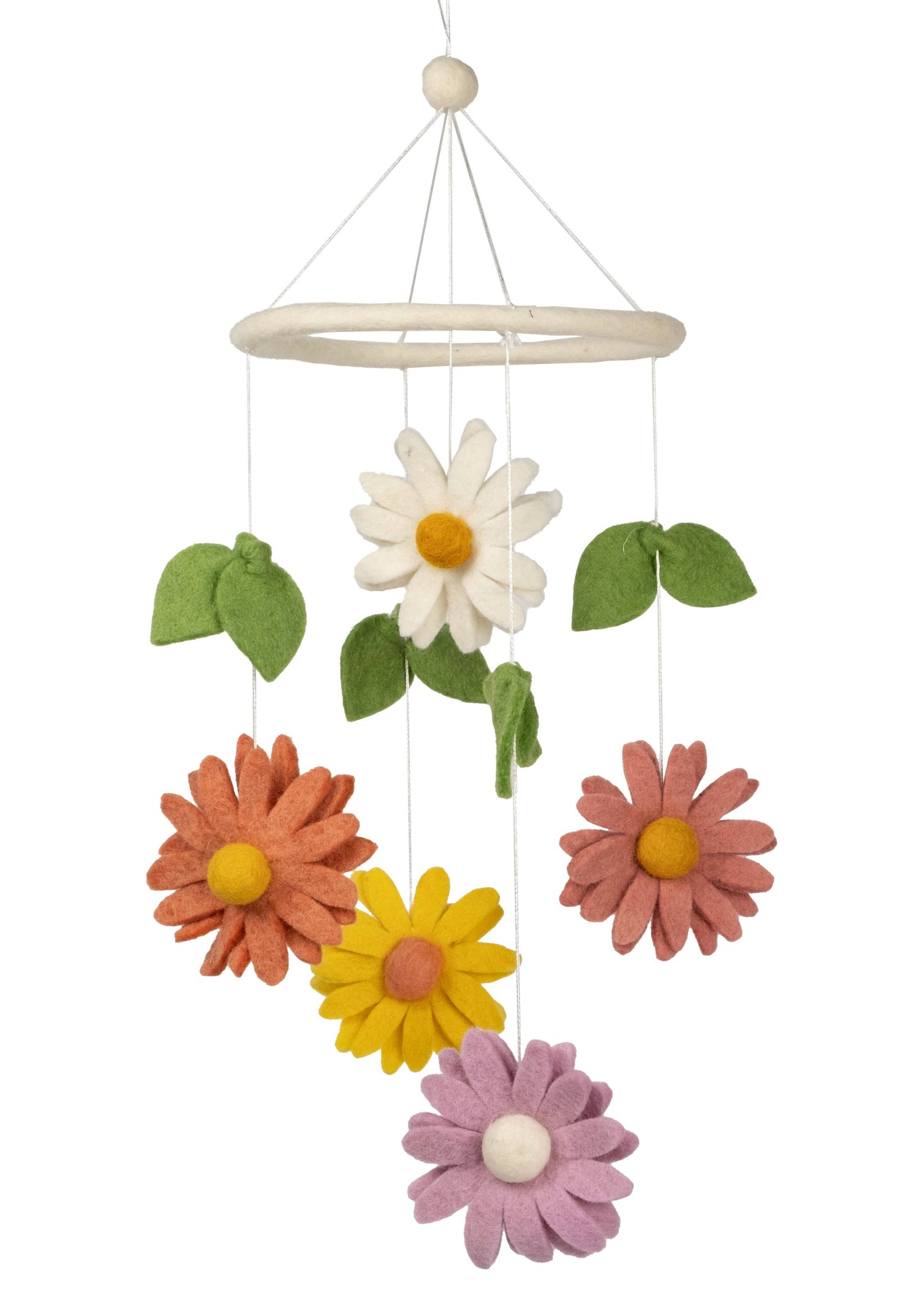 Daisy Mobile