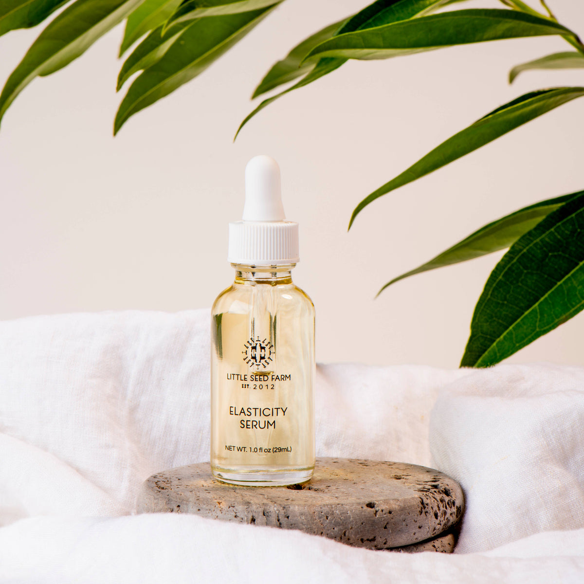 Elasticity Serum