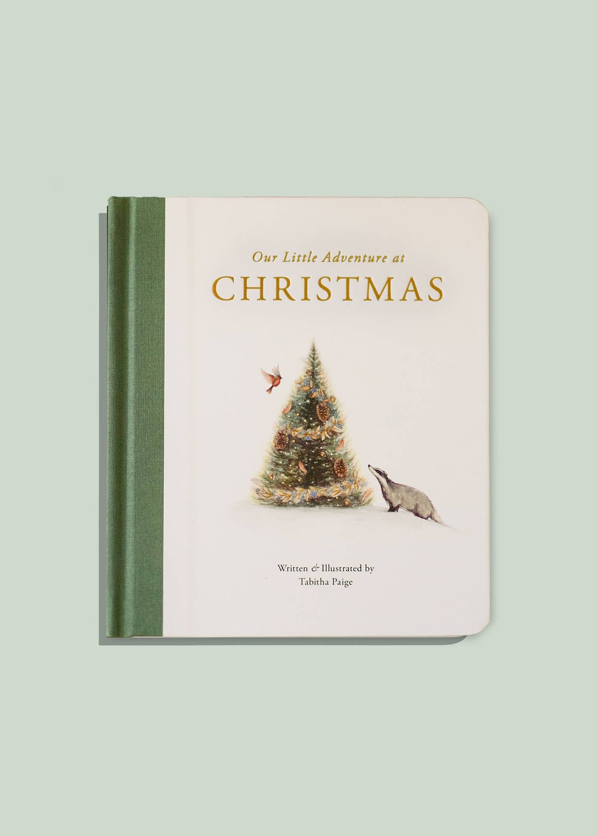 Our Little Adventure at Christmas (Baby's first Christmas)
