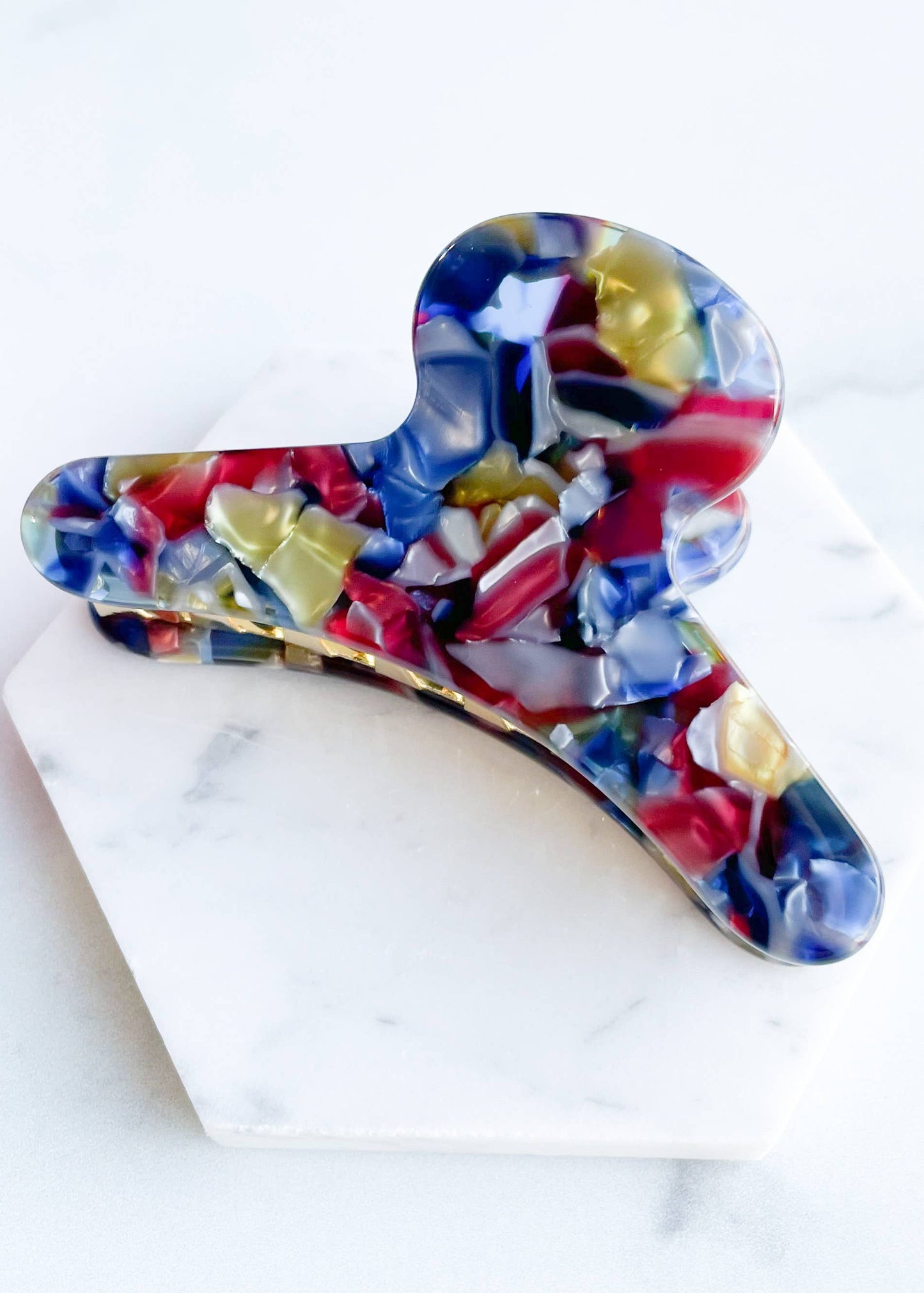 French Claw in Stained Glass