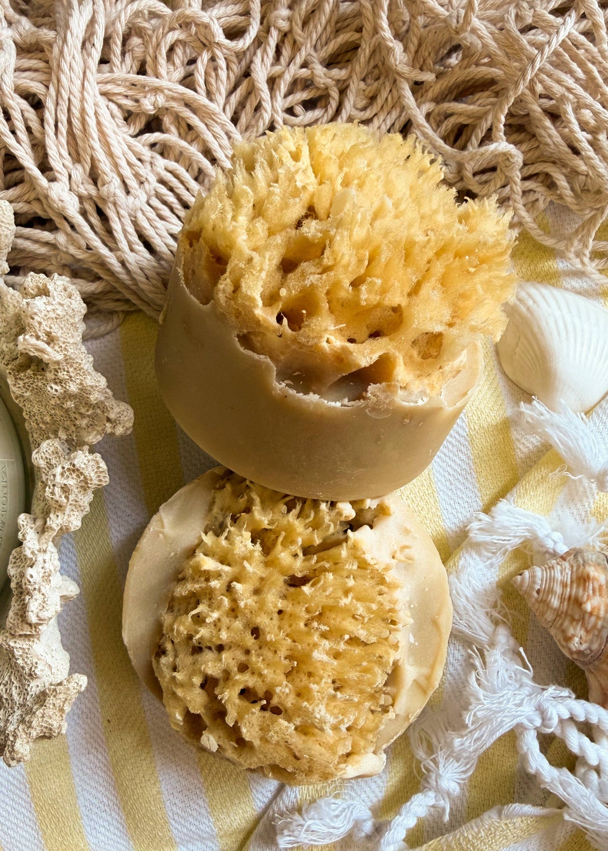 Santal Beach Coconut Milk Sea Sponge Soap