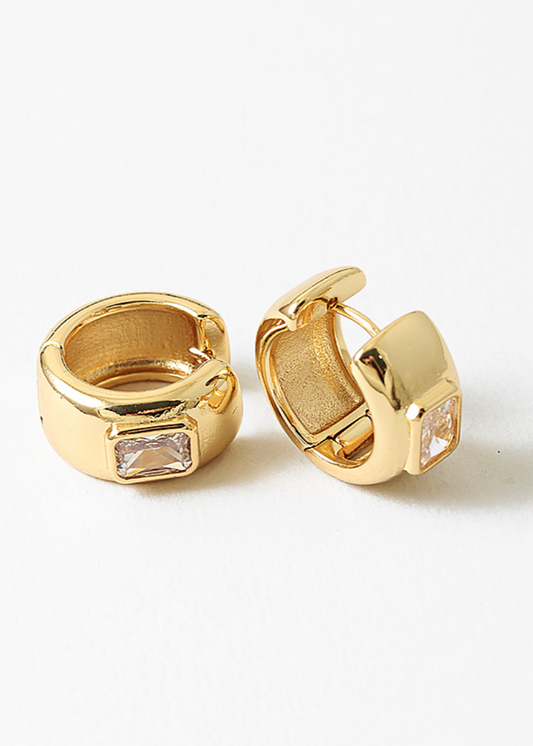 Framed Earrings