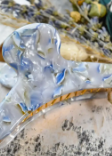 French Claw - Ajisai