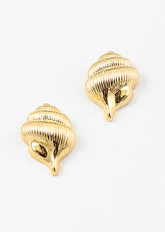 Conch Earrings