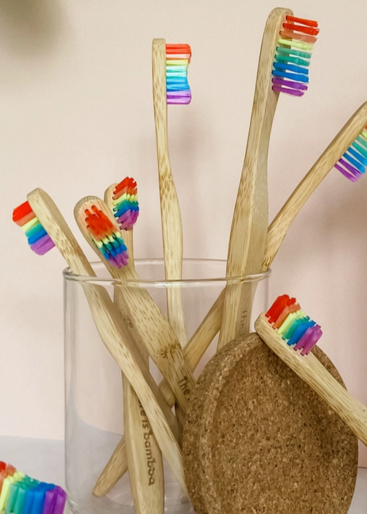 Rainbow Bamboo Toothbrush-Adult