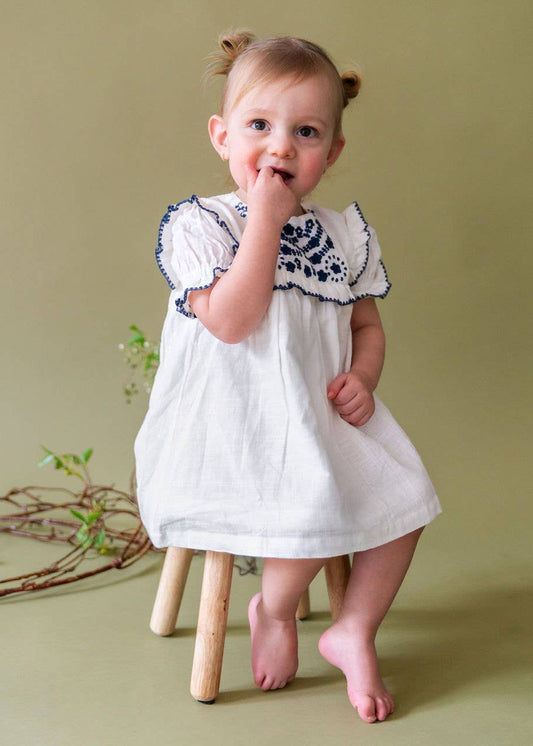 Cadence Embroidered Dress
