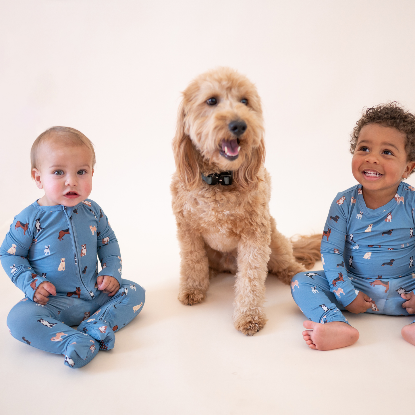 Bamboo Blue Doggy PJ's