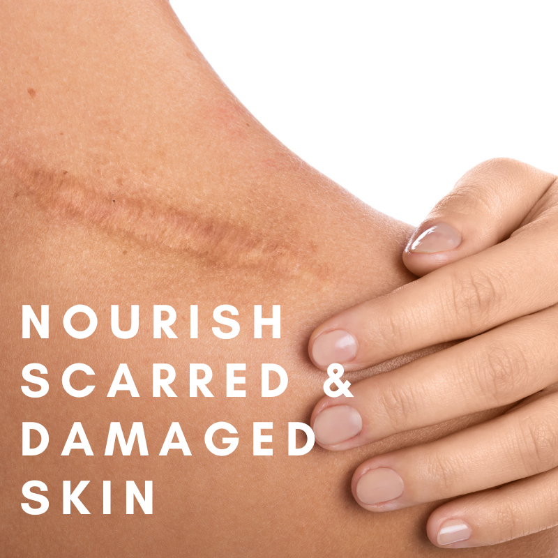 Shea & Moringa Hand & Body Balm
