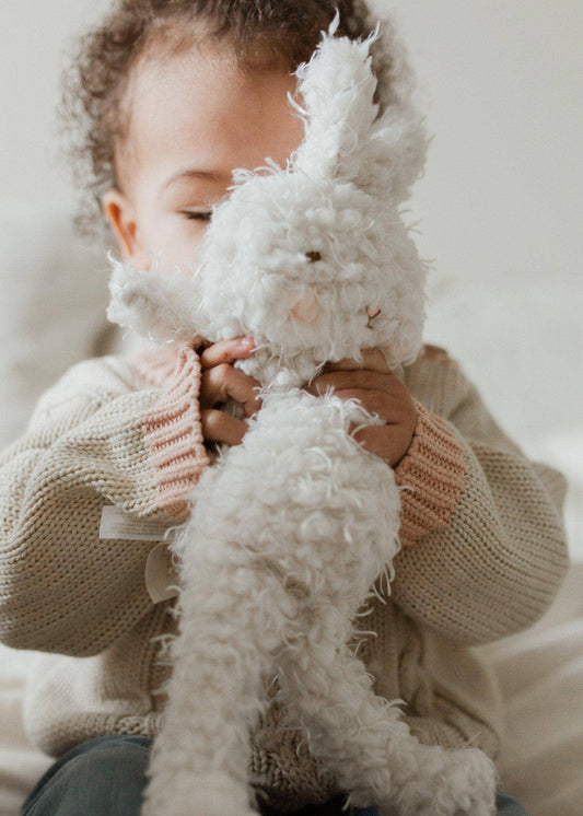 Shaggy Hoppy Bunny