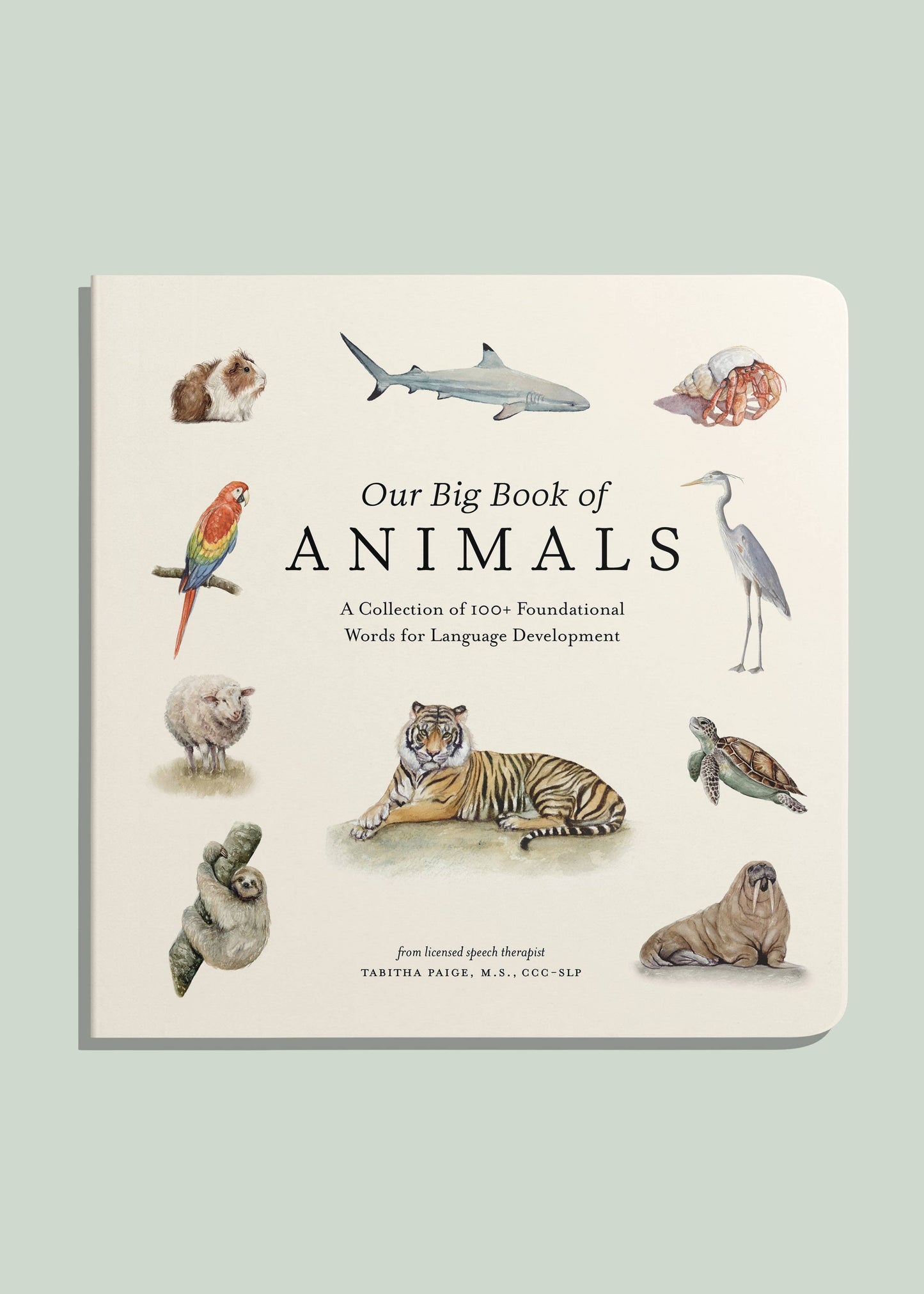 Our Big Book of Animals (Board Book)