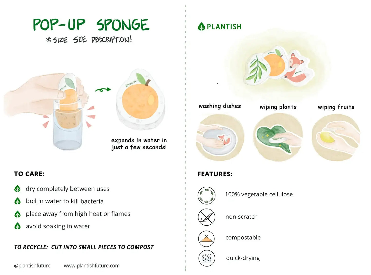 Pop Up Sponge