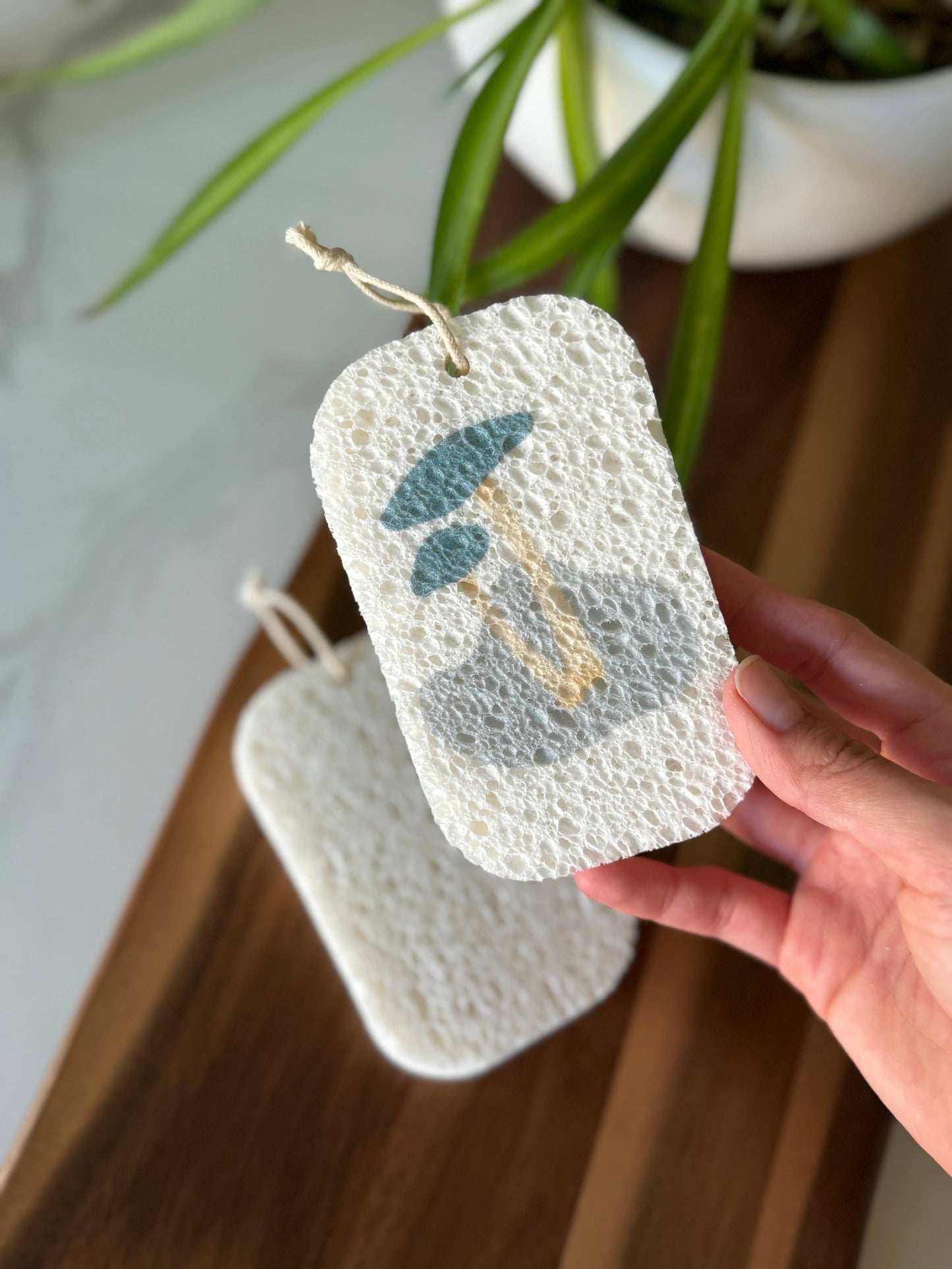 Pop Up Dish Sponges 3-Pack | Compostable + Zero Waste: Forest Collection