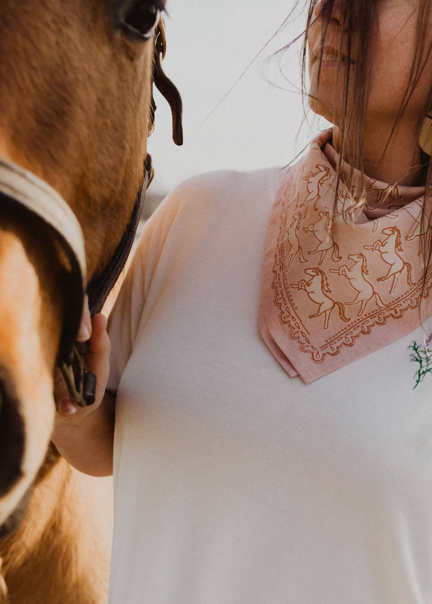 Horses Bandana