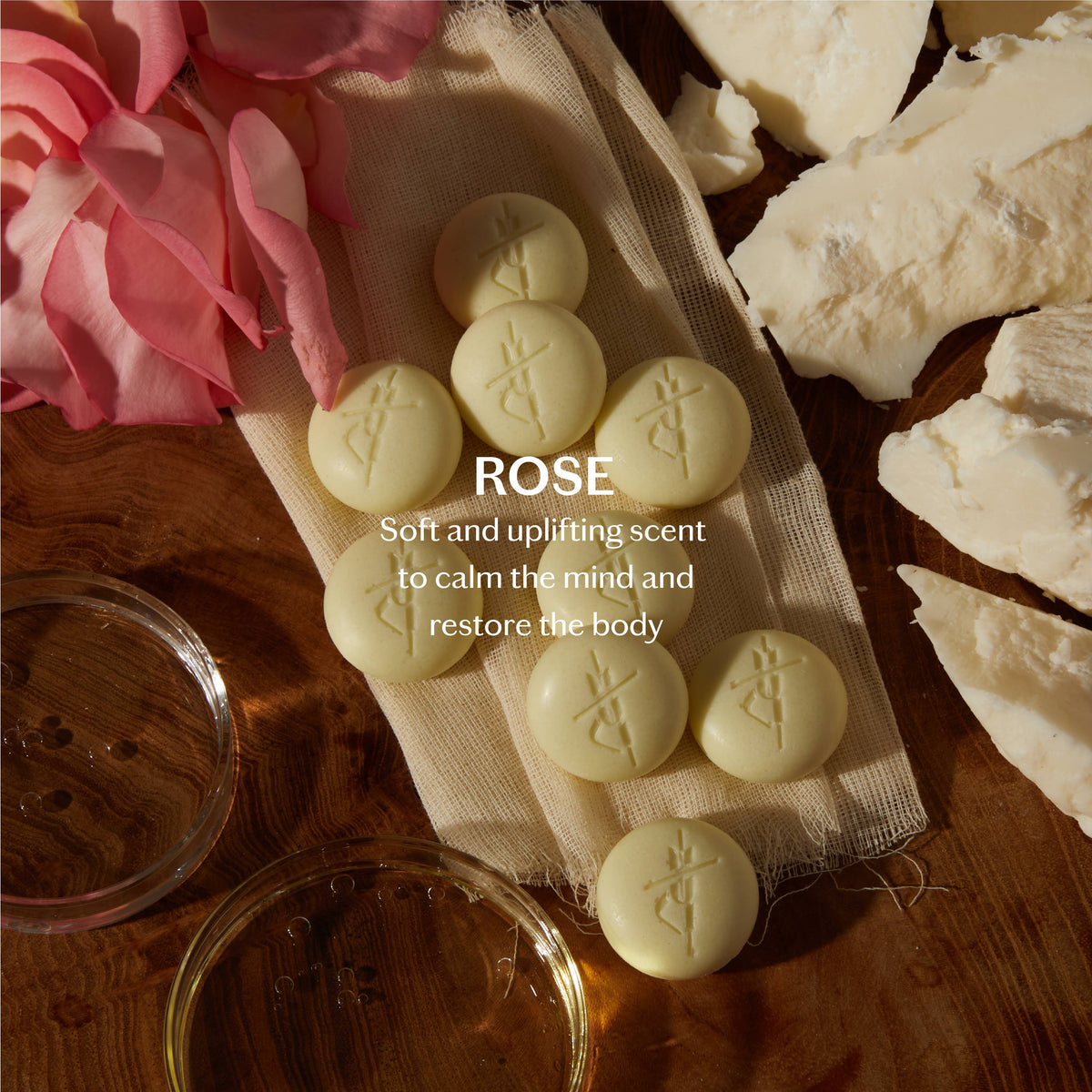 Daily Pebble | Deep Moisturizing Solid Bath & Shower Oil: Tray of 20
