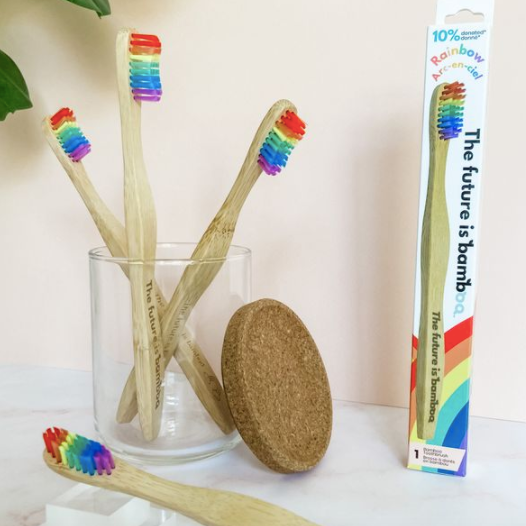 Rainbow Bamboo Toothbrush-Adult